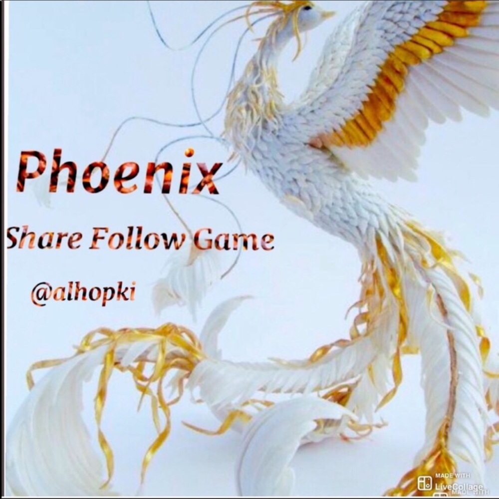 Featured Today Phoenix!
